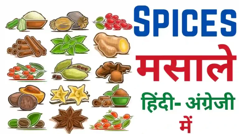 spices name in english and hindi | मसालों के नाम
