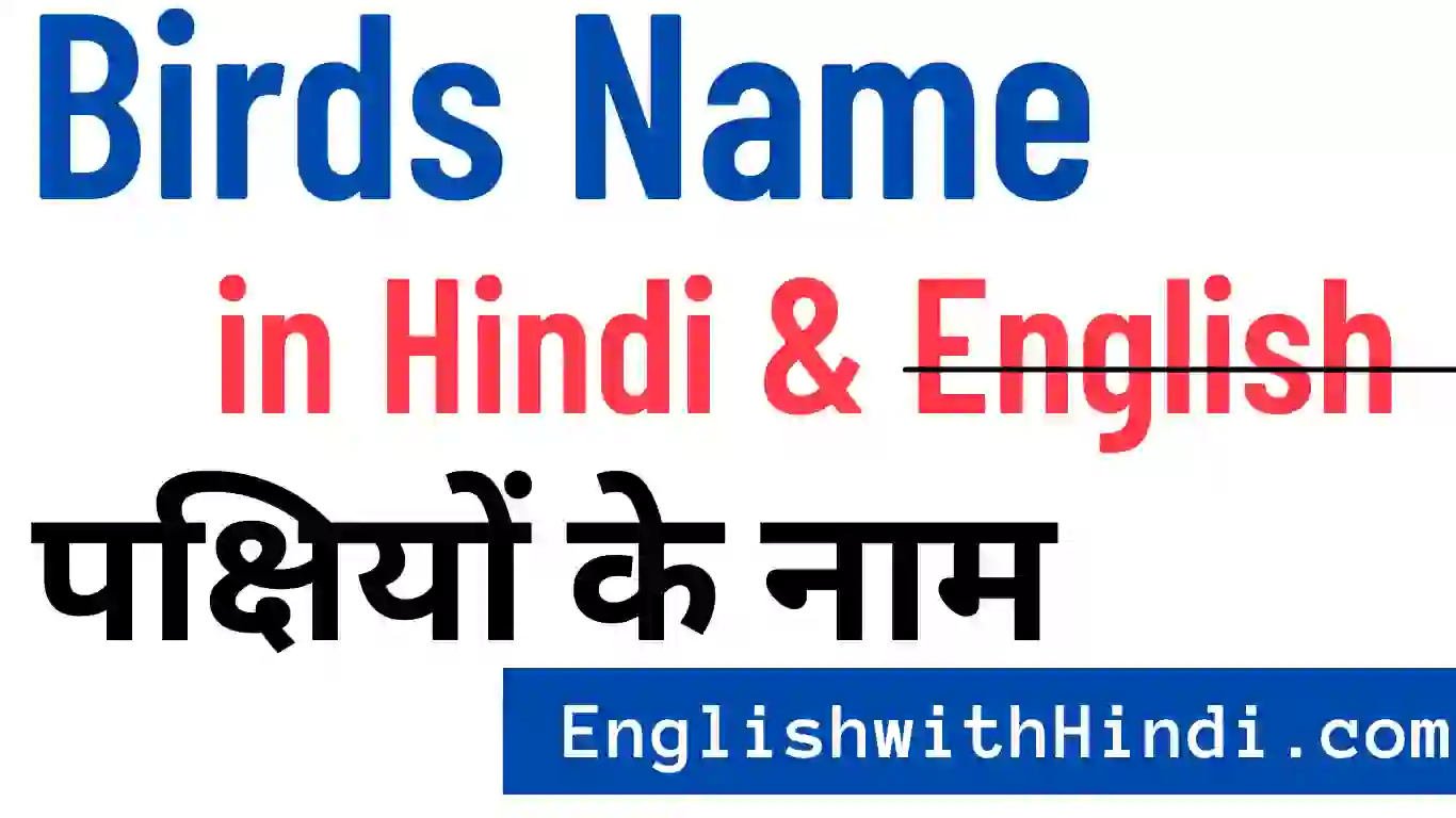 birds-name-in-hindi-english